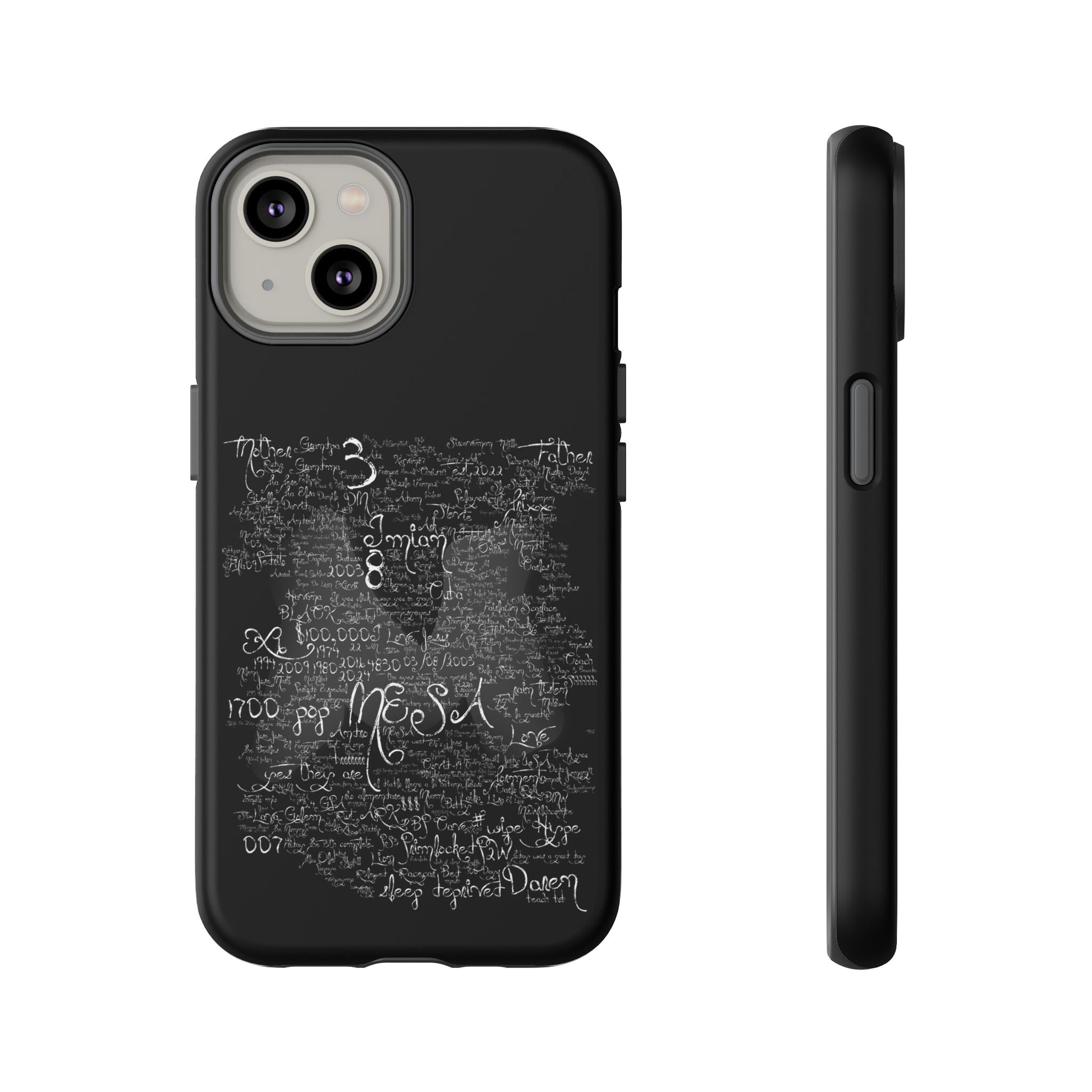 MESA Case