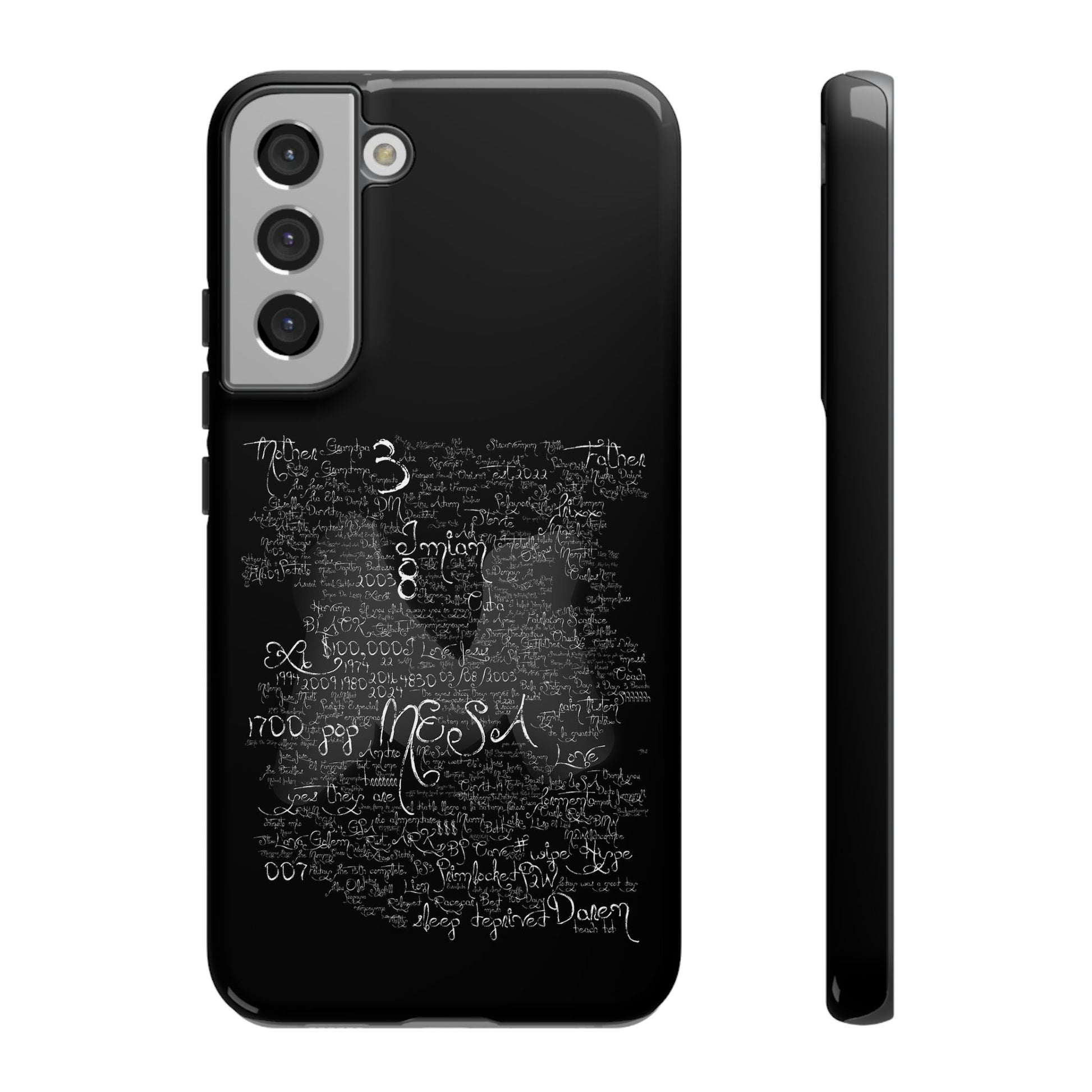 MESA Case